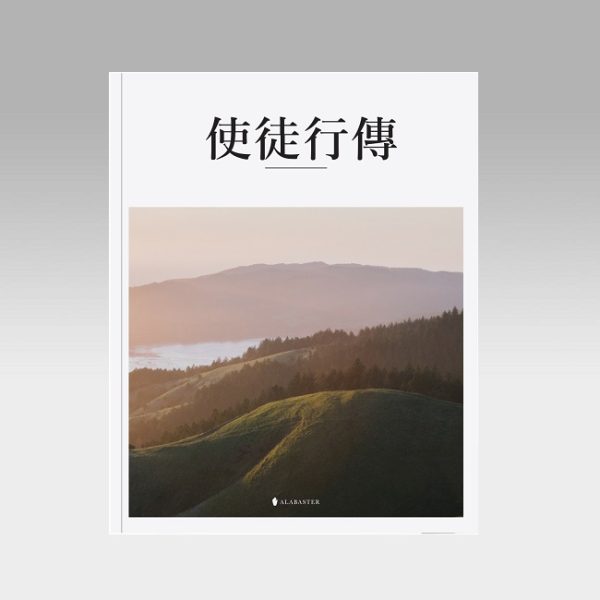美感圣经 - 使徒行传(平装、和合本) - 文桥书房